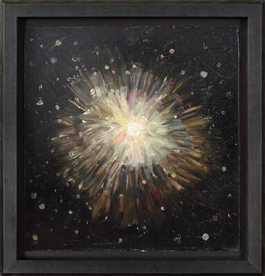 Шульгин Владимир Иванович. Зарождение Вселенной 